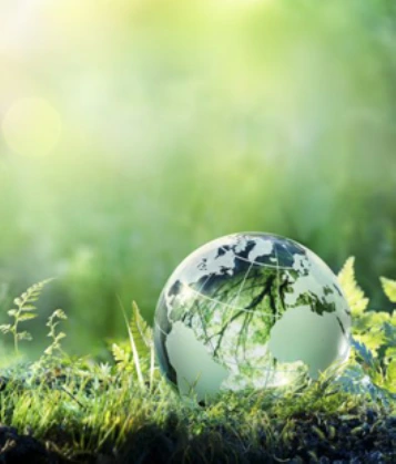 Environmental Services